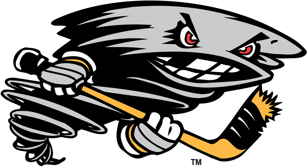 cincinnati cyclones 2001-2014 alternate logo v2 iron on heat transfer